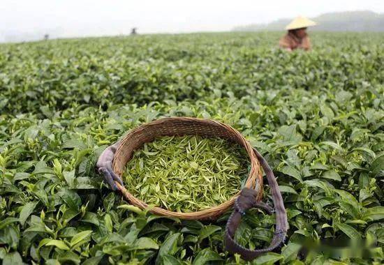 母婴用品品牌合集图，很多人第一步就错了